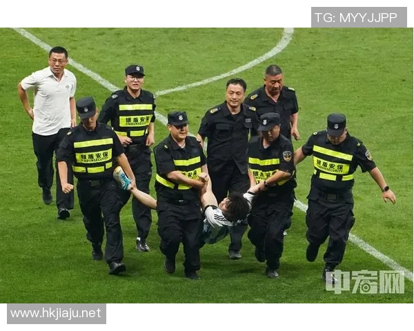 深入探讨北京网球队比赛经验的表现与数据分析结果