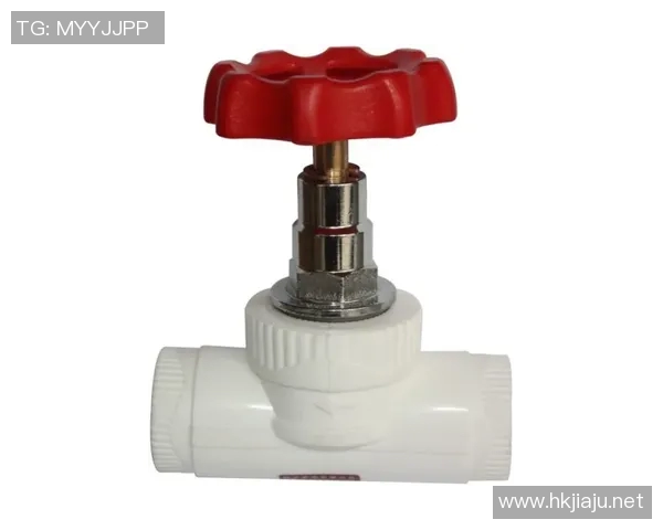 水管阀门的种类、作用与选购指南及常见问题解答